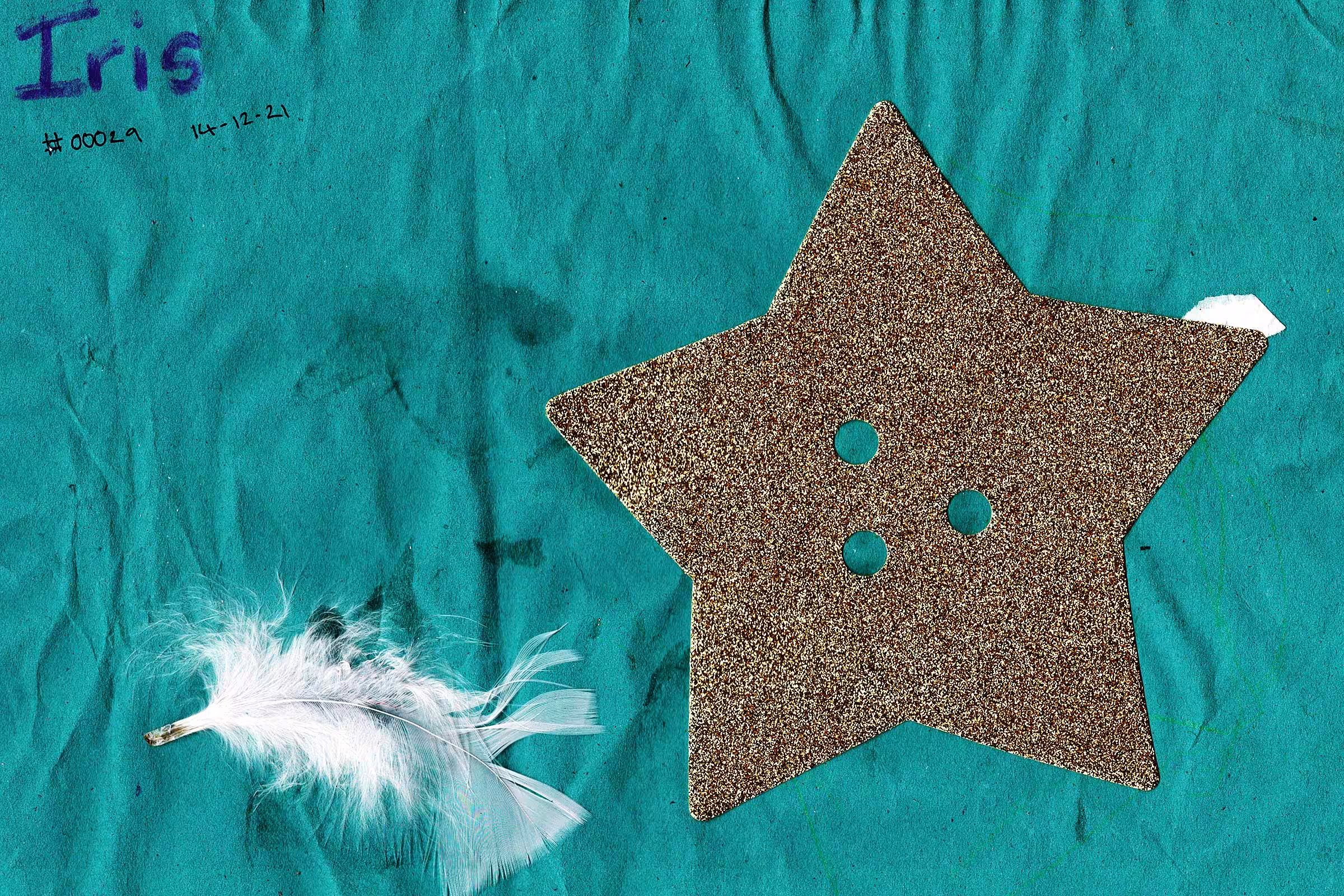 #00029 Xmas star 211214