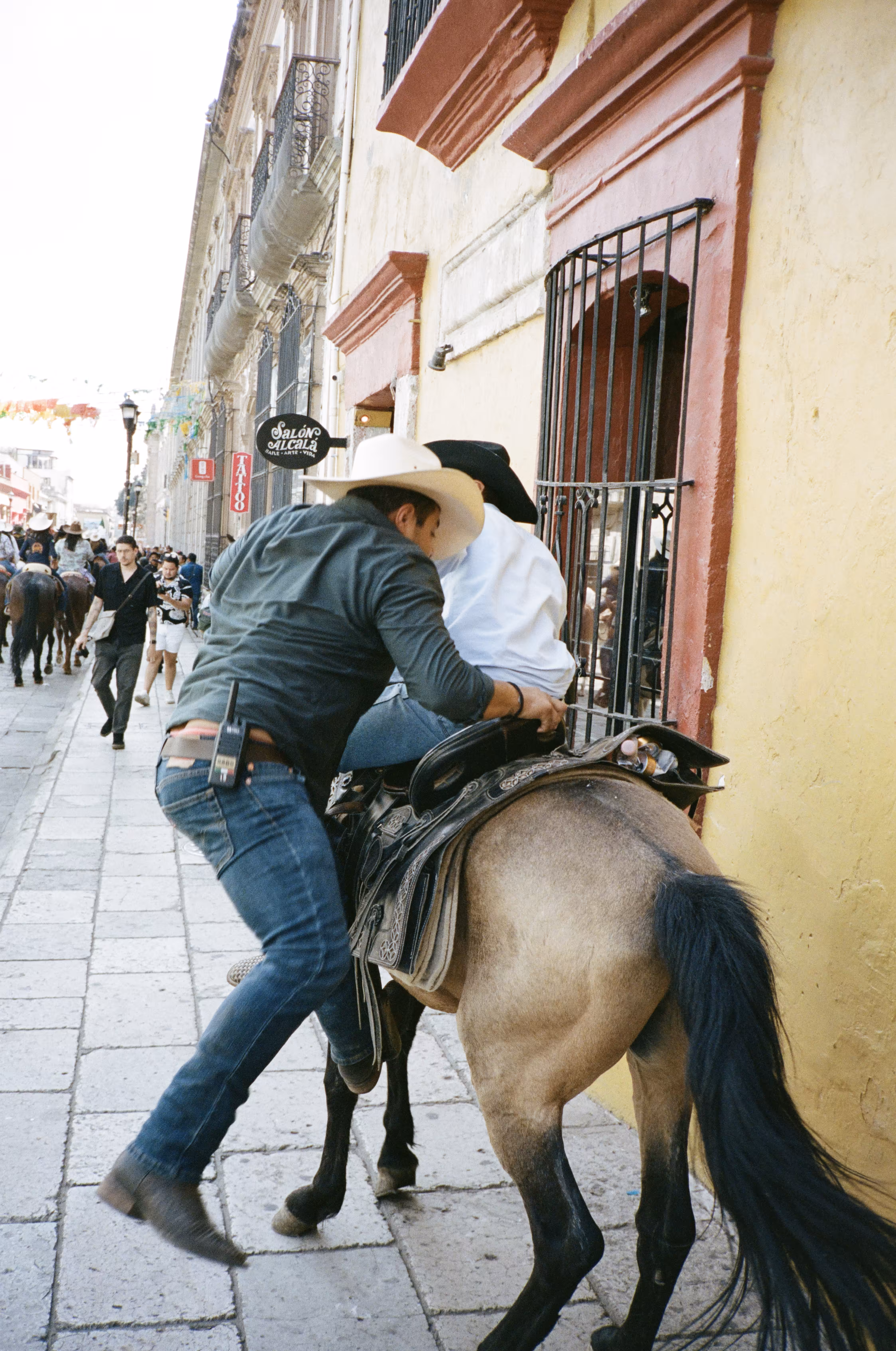 🤠🐴