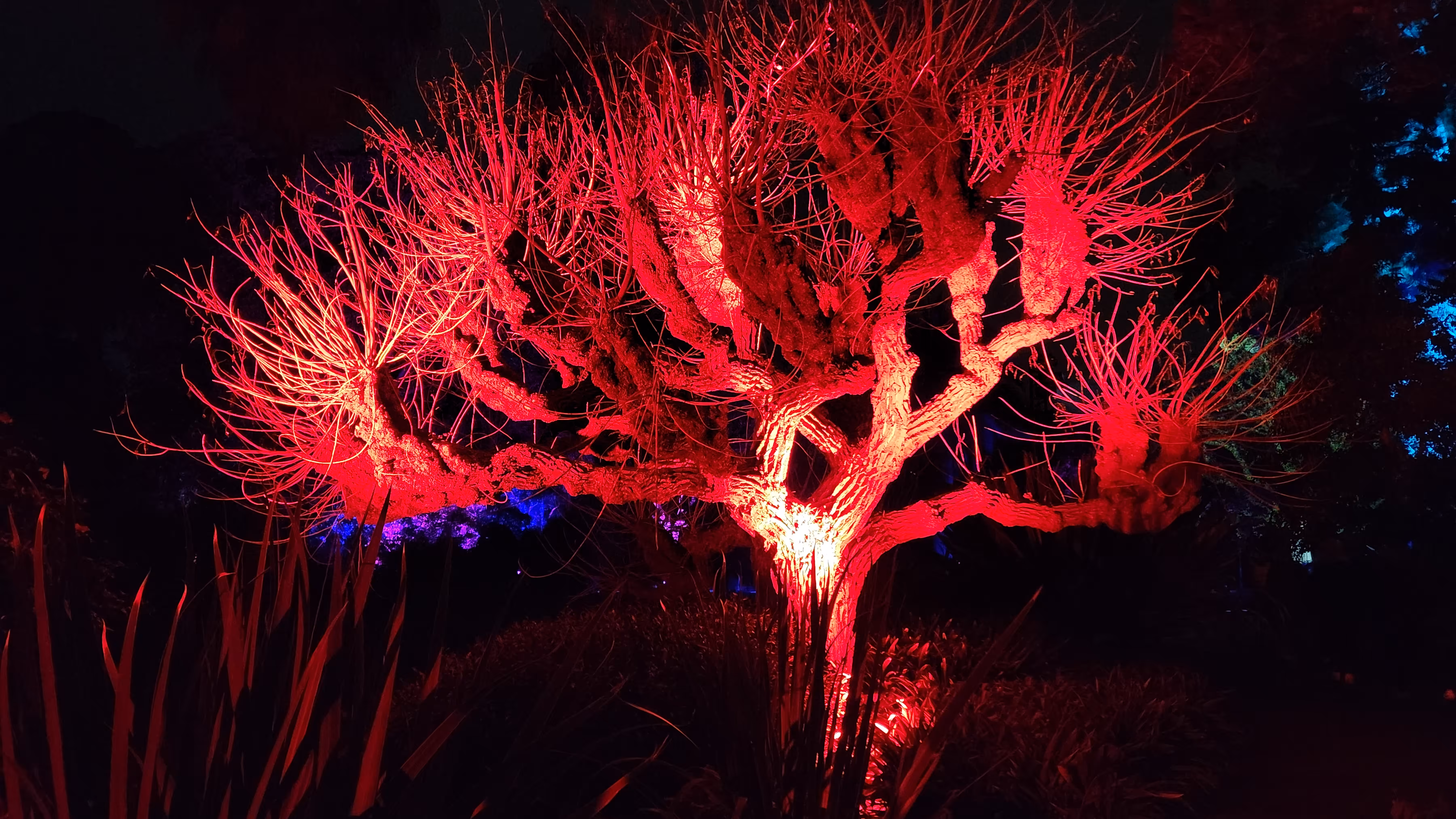 Lightscape  - devilish tree