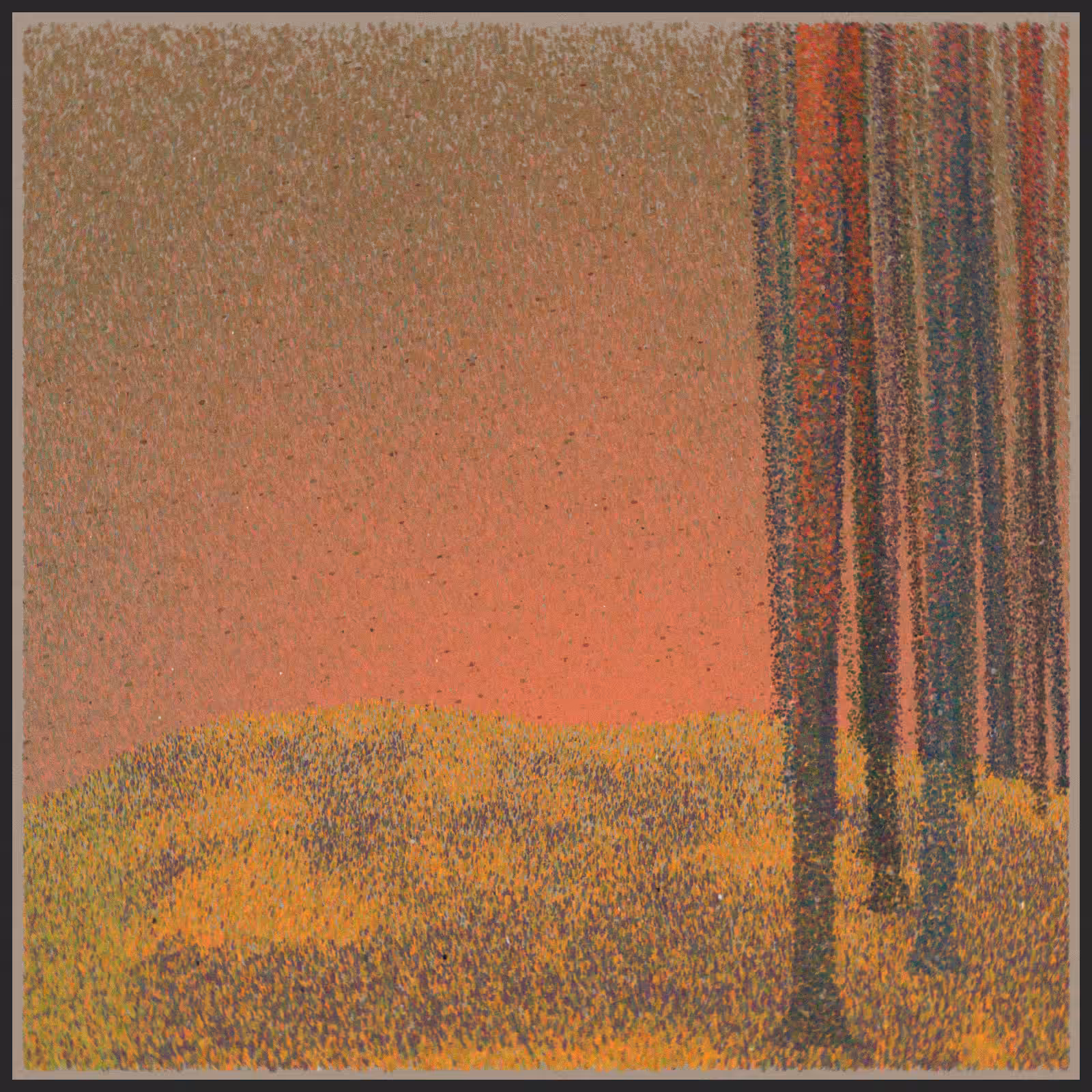 forest