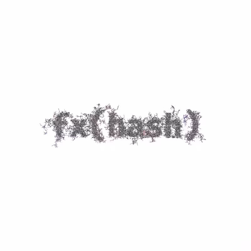 FXHASH Logo with Features #205