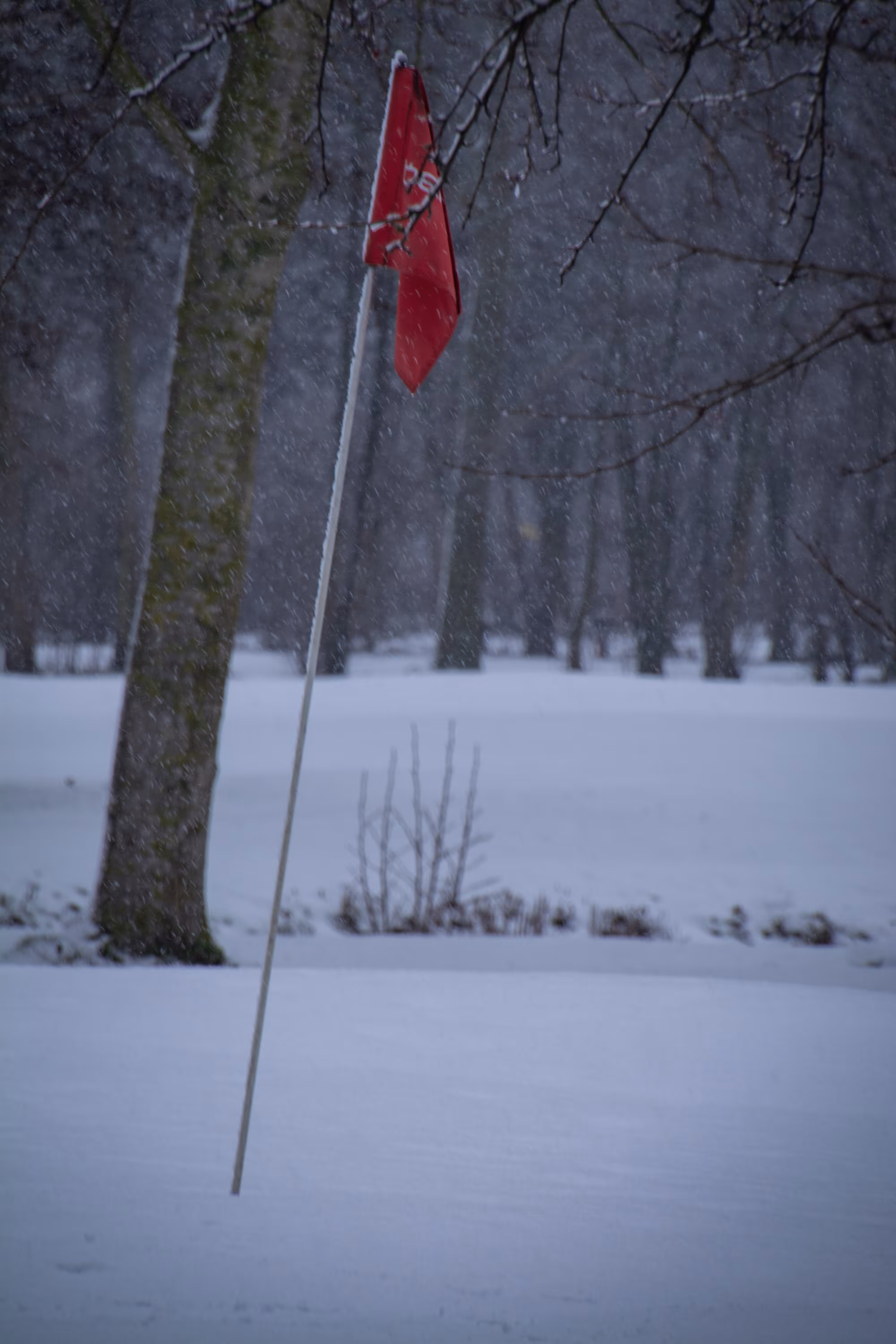 Red Flag