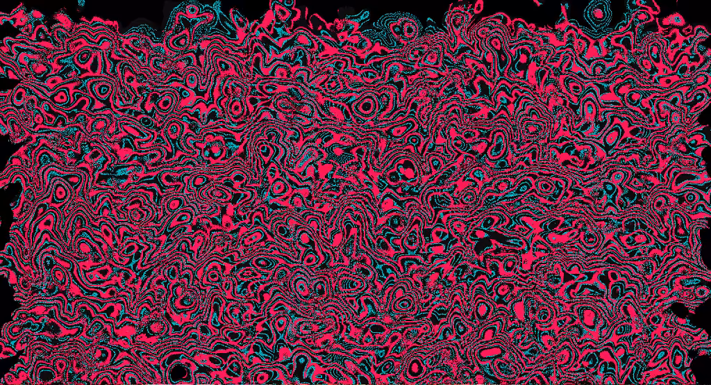FIELD/TRACE_003