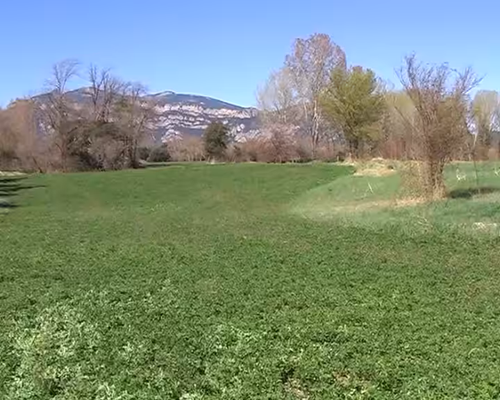 Self Burial