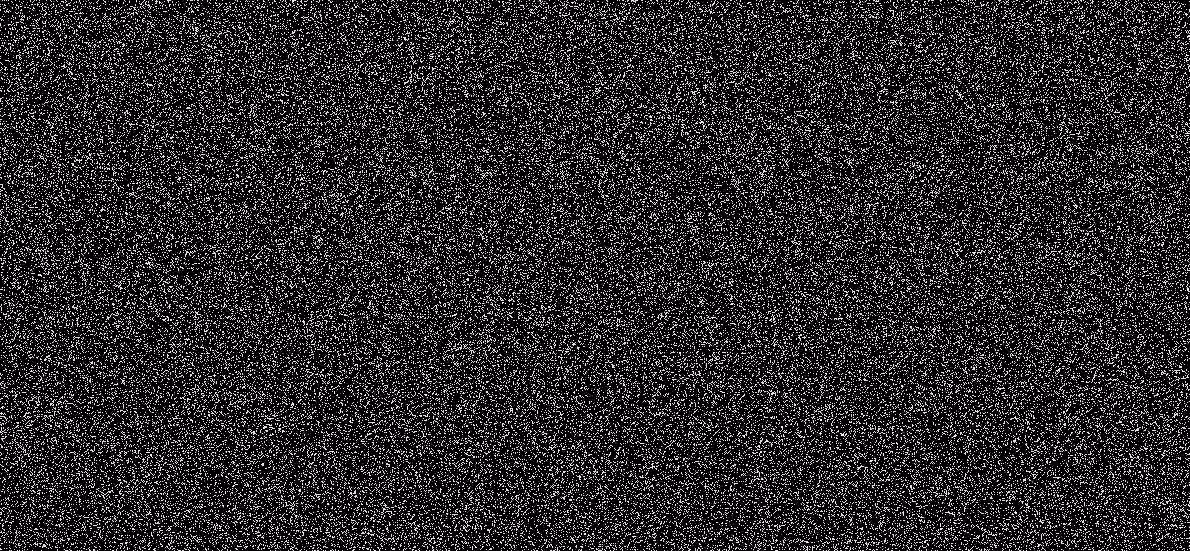 WE ARE NOISE