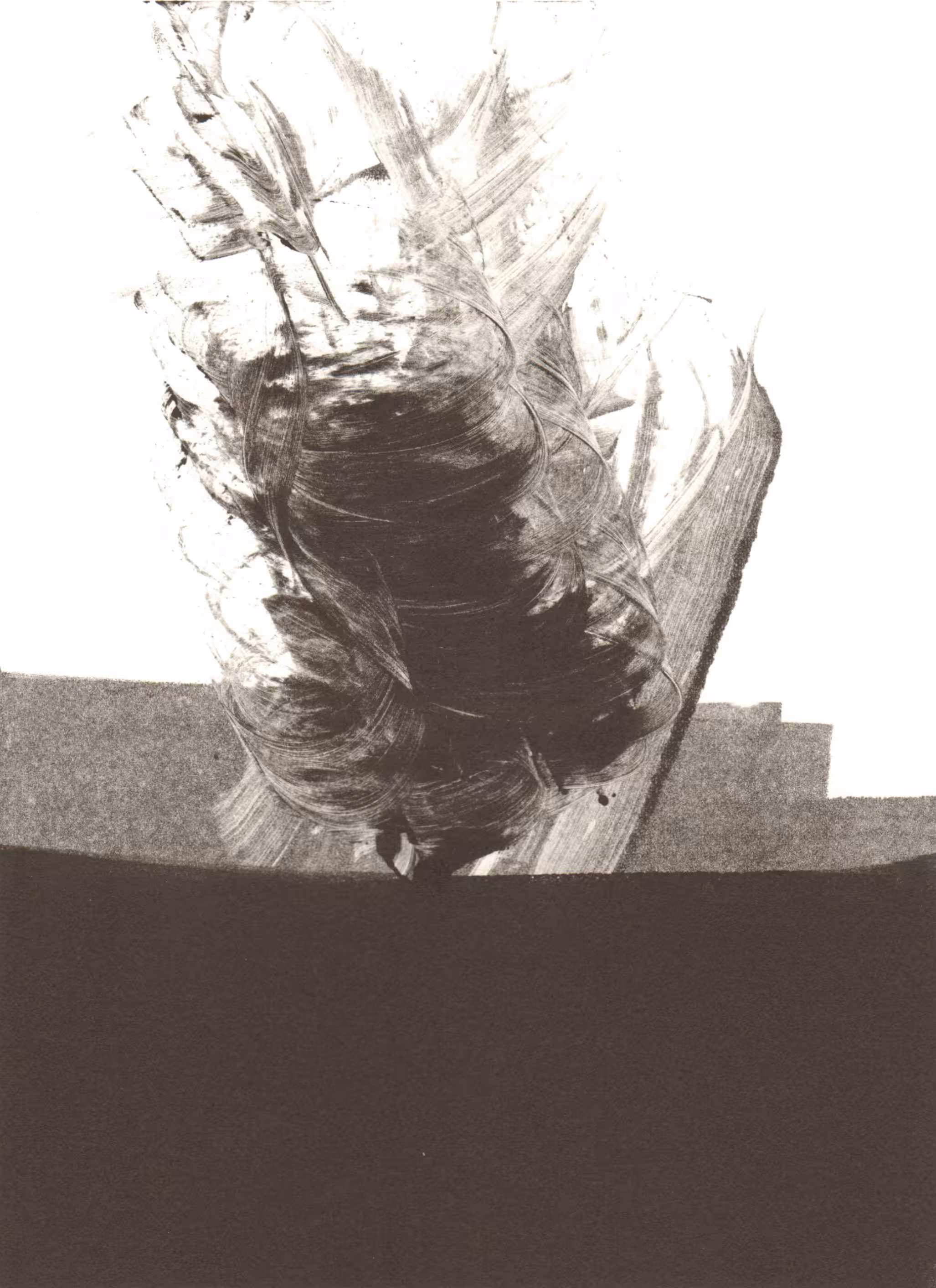blossom-001