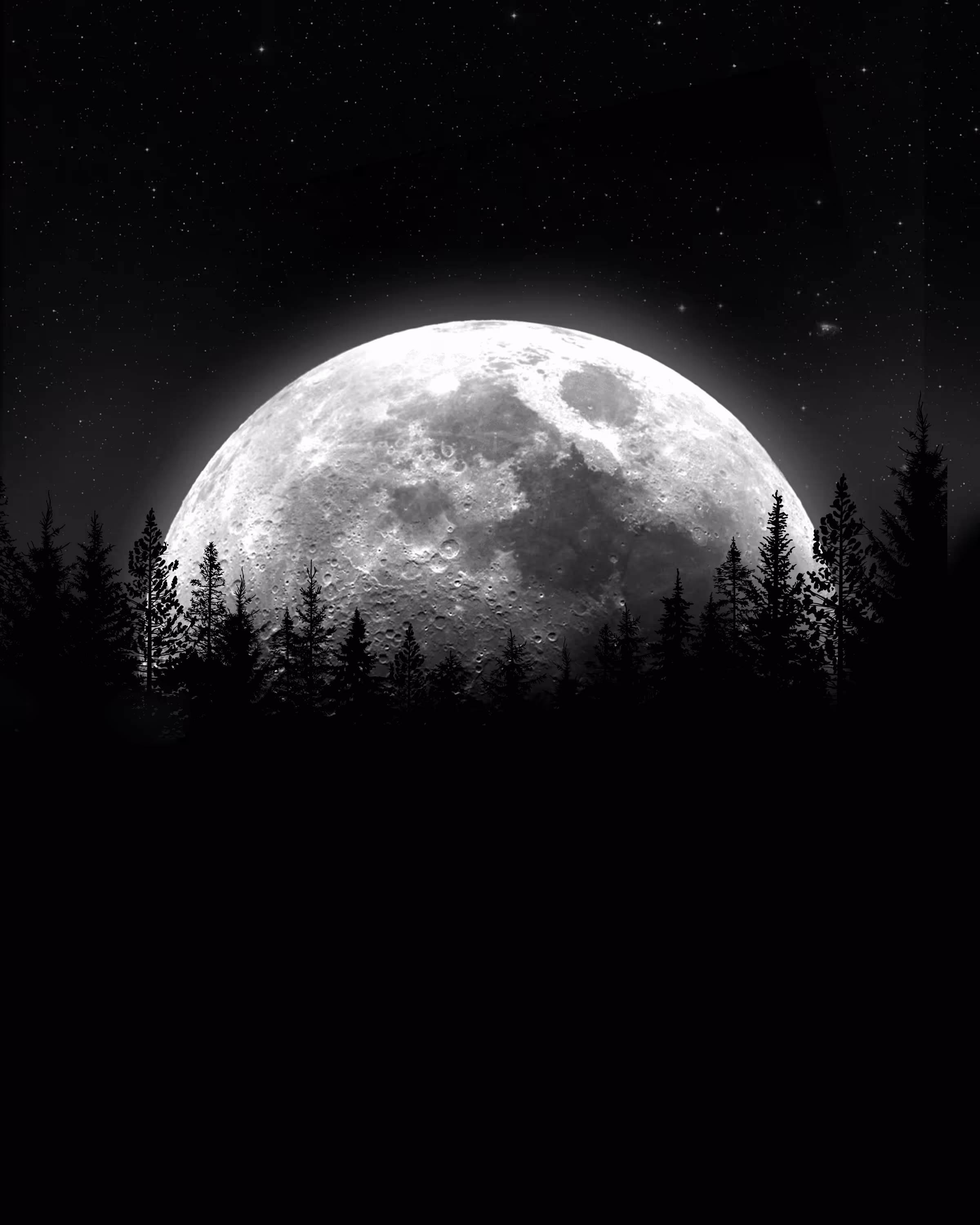 Day 8: Wolf Moon