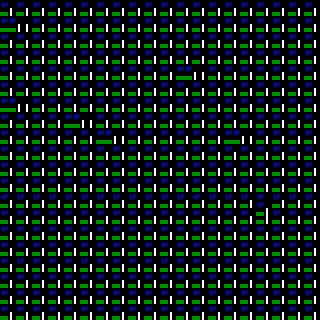 CGA Safari #79