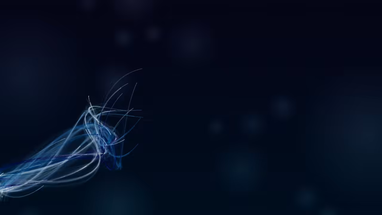 fxhash SpeedRun: any% < 960 minutes #12