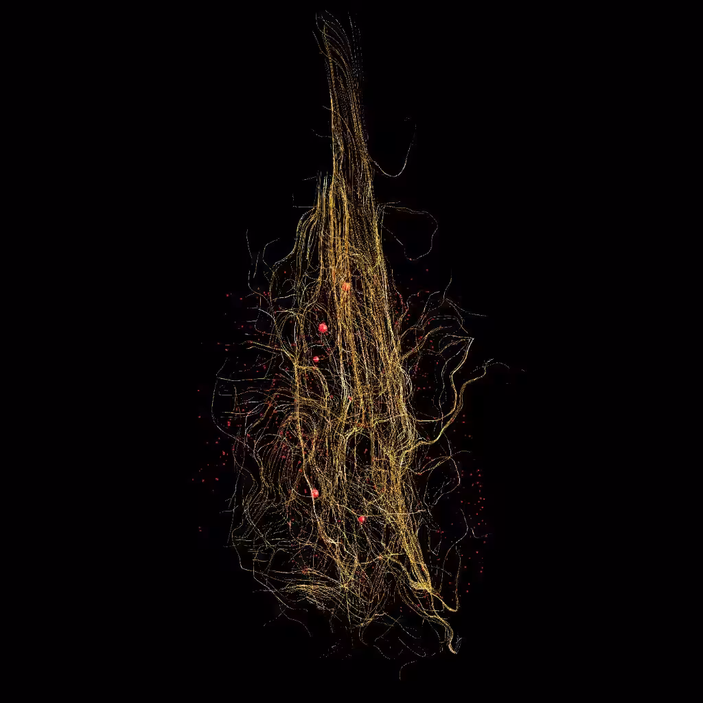 Magnetic Nerves: Augmented Heart 