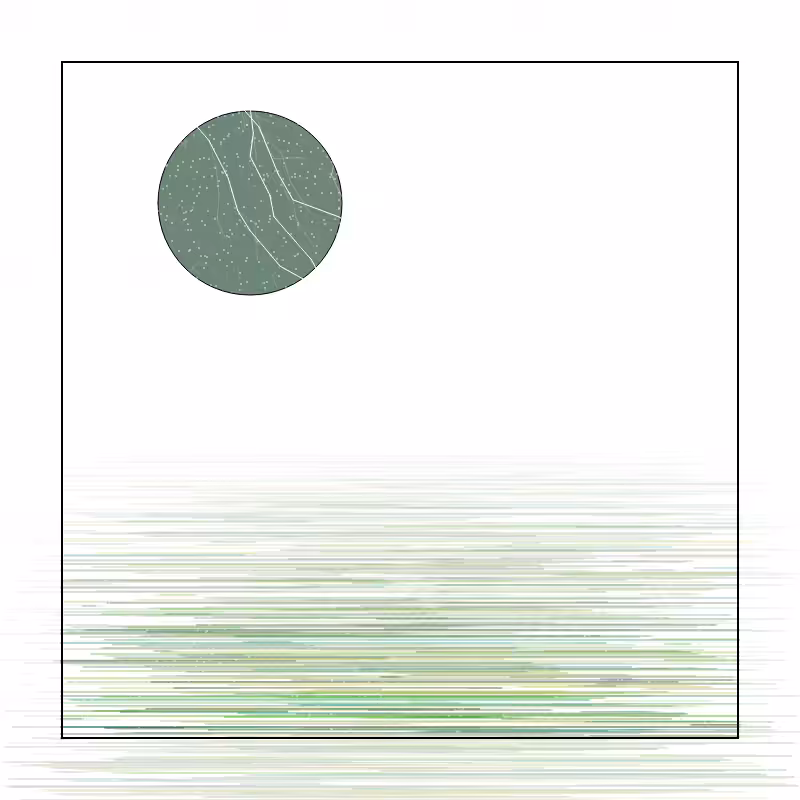Balance #112