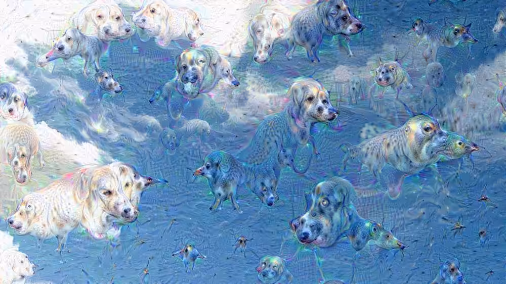 cloud_dalmatin_argmax - “101”, 2015