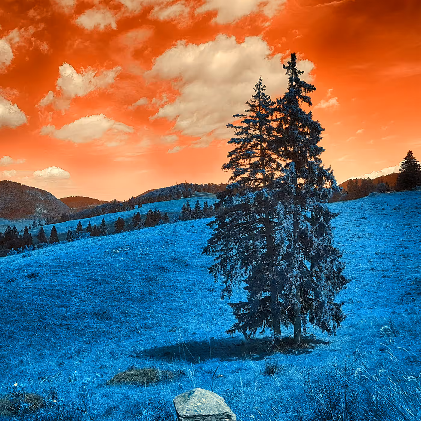 Carpathian Mountains #1