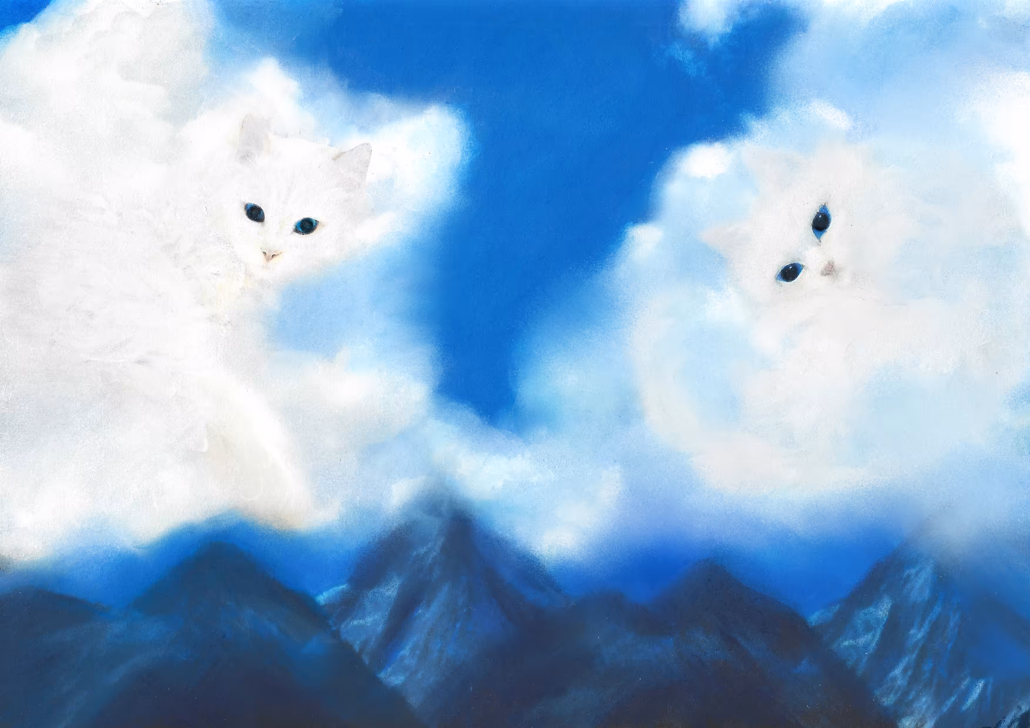 It’s cloudy in the mountains today…