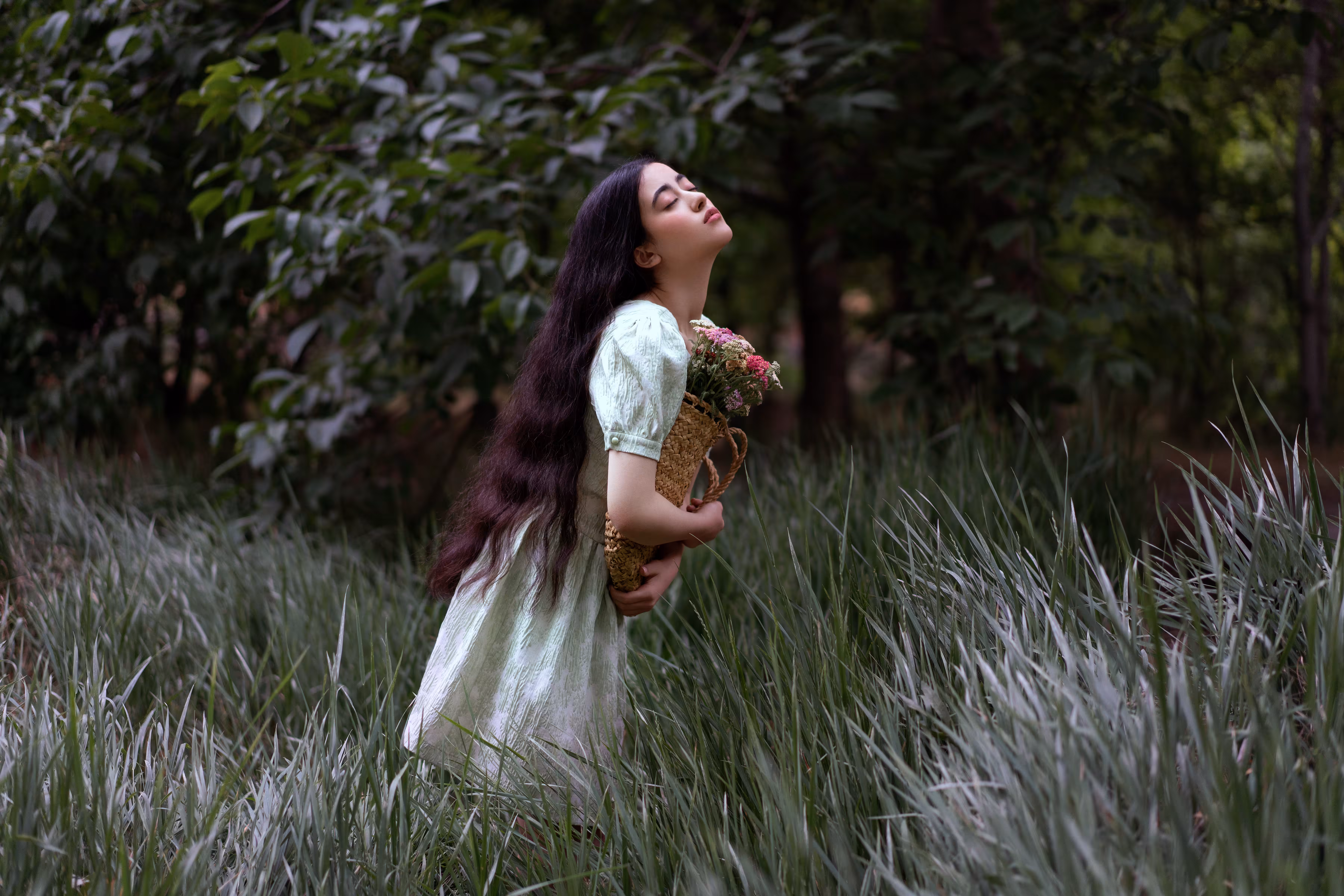Dream's Whisper