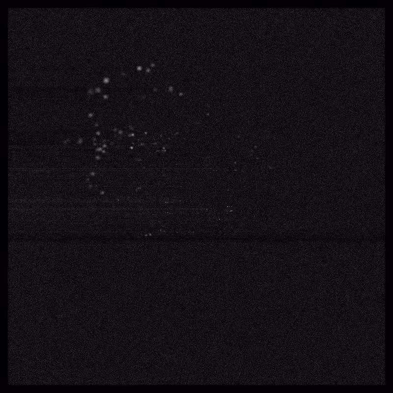 Rays & Dust #99