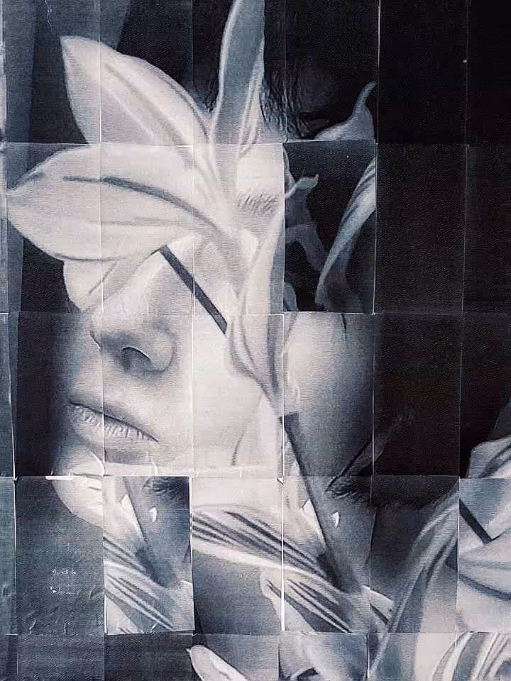 She Was Not Meant to Bloom Here