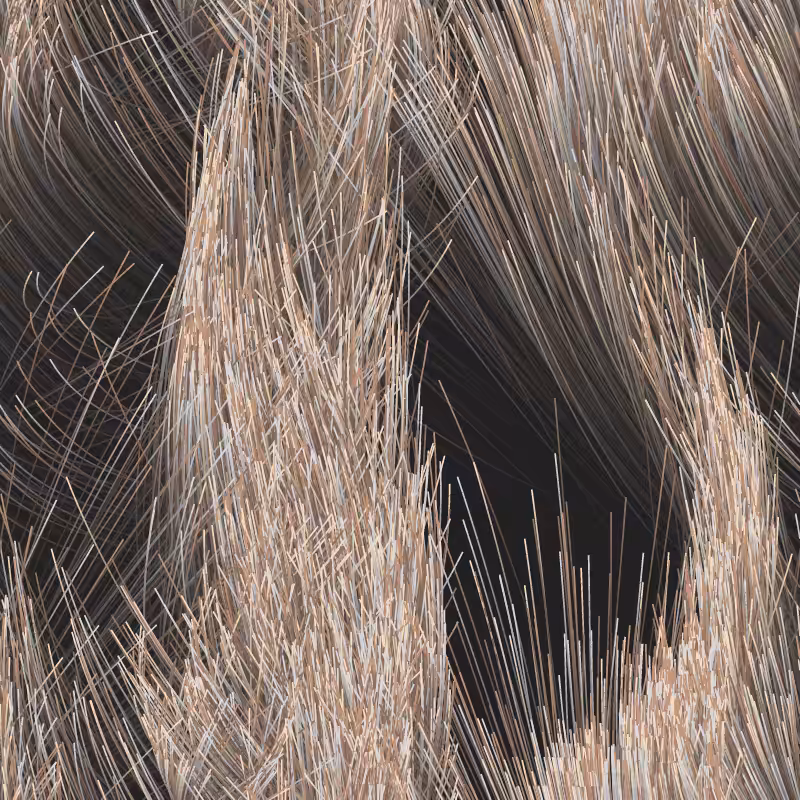 Strange Attractor Swarm #52
