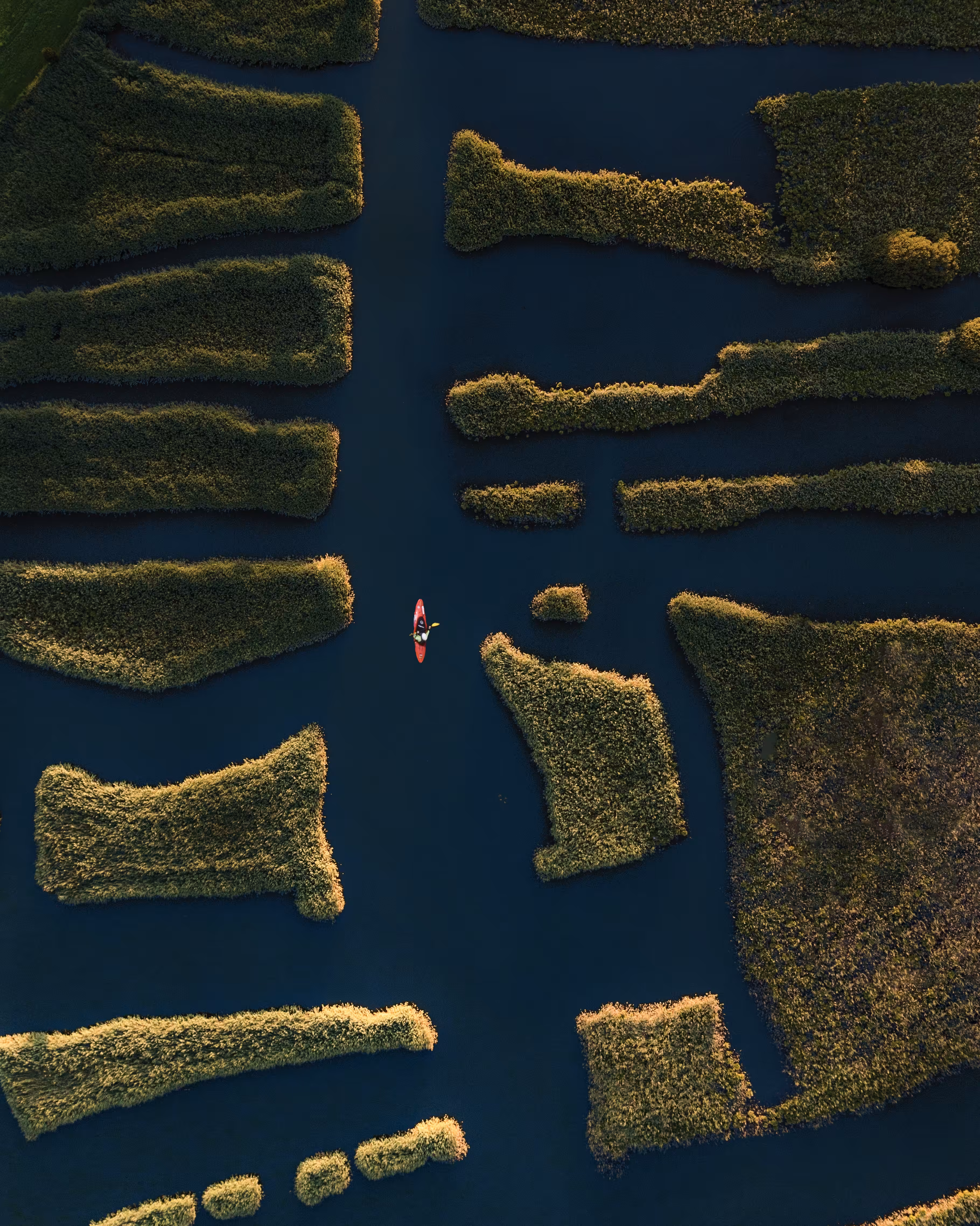 Bird's eye view #31