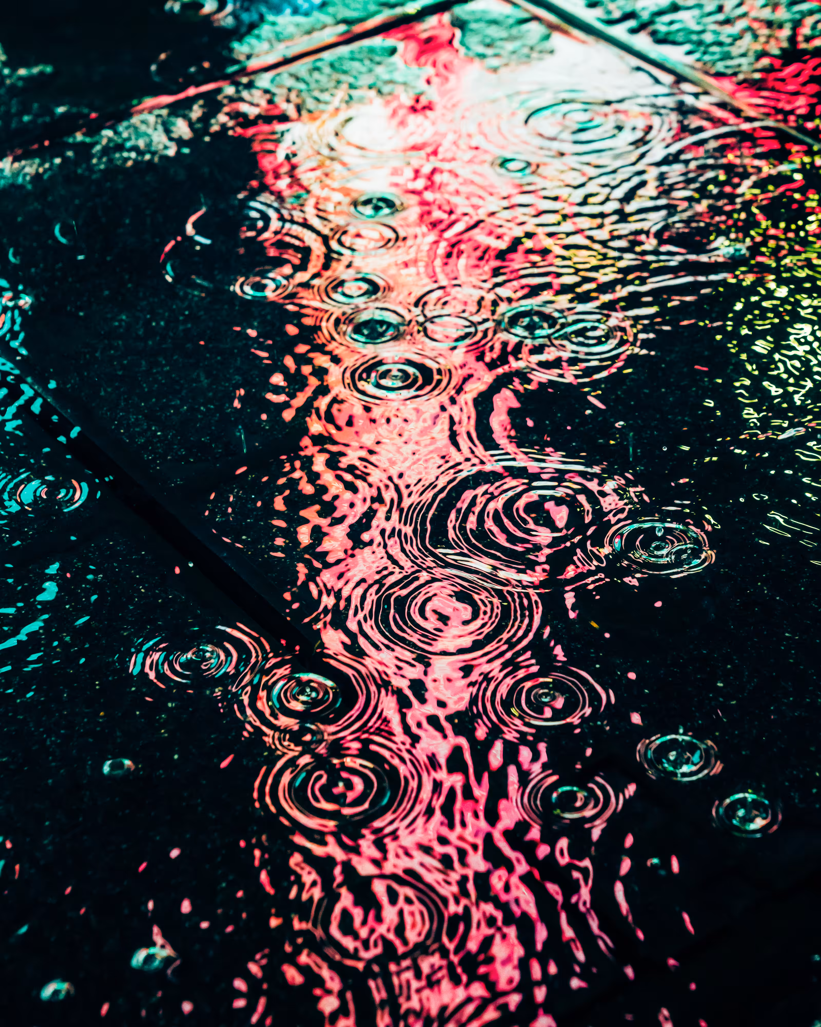 DRIP #557