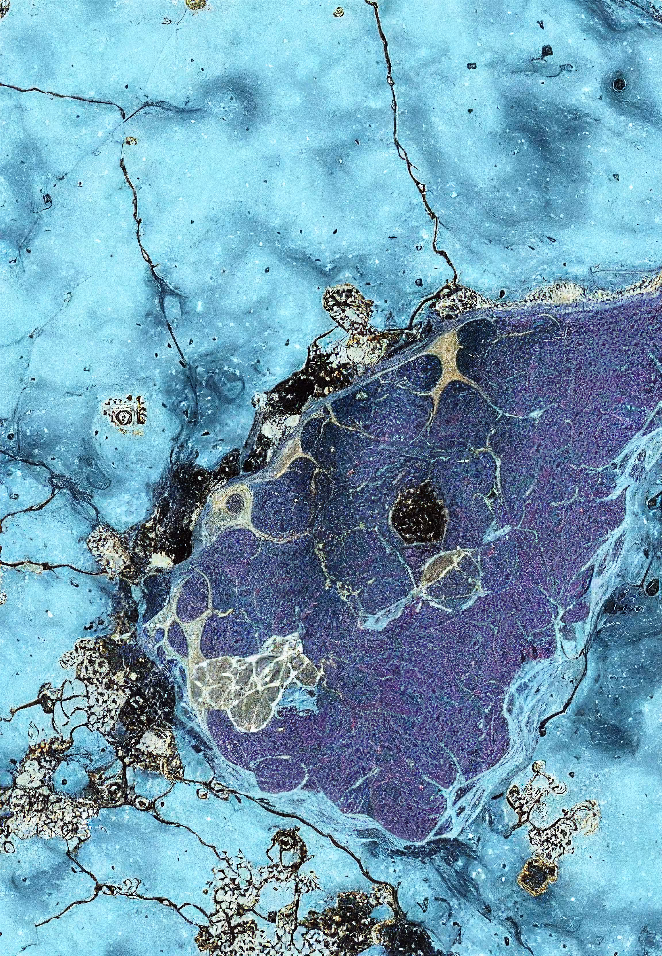 Histologia In Silico #243