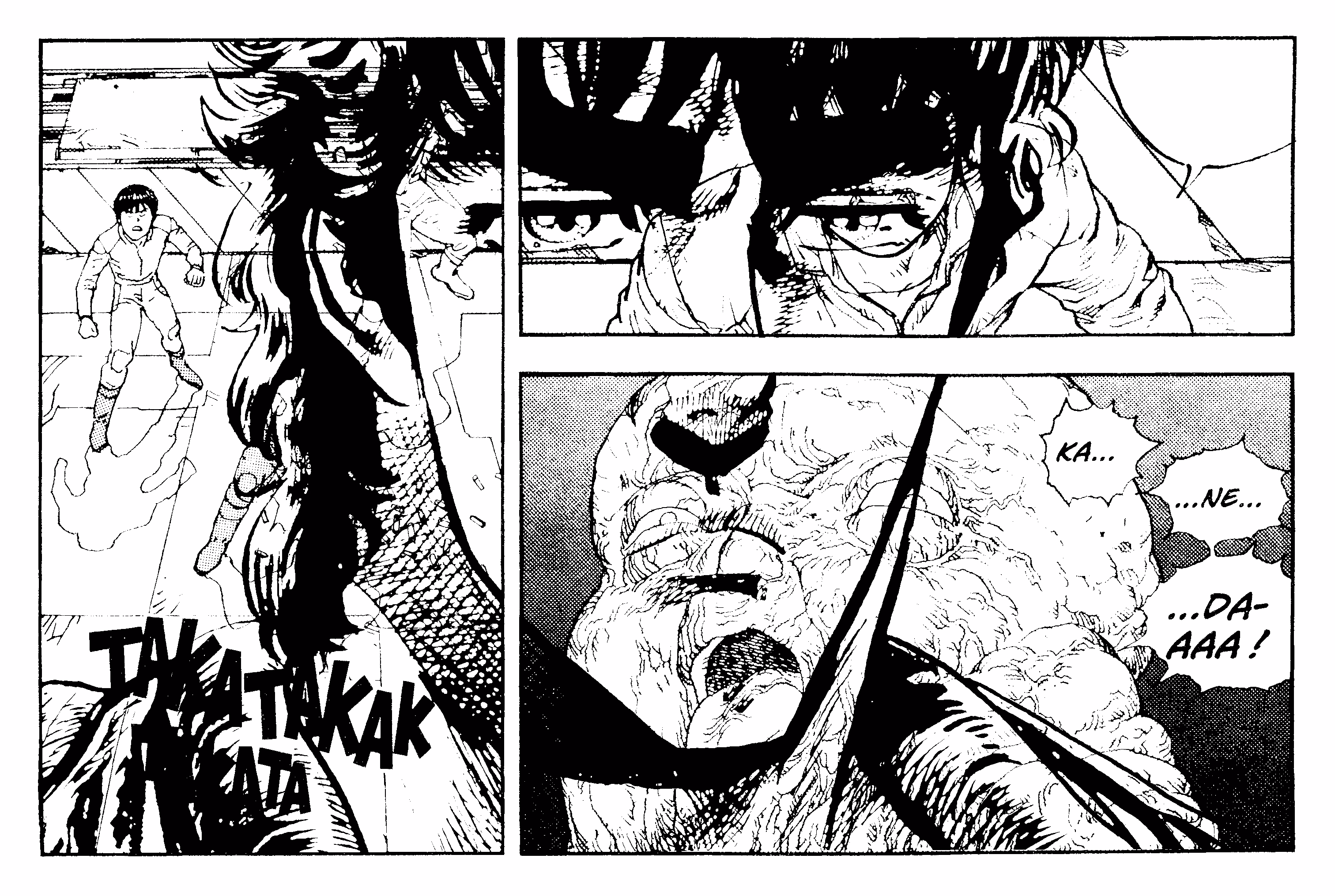 Fist of Akira Page 247 Bottom Panel Detail