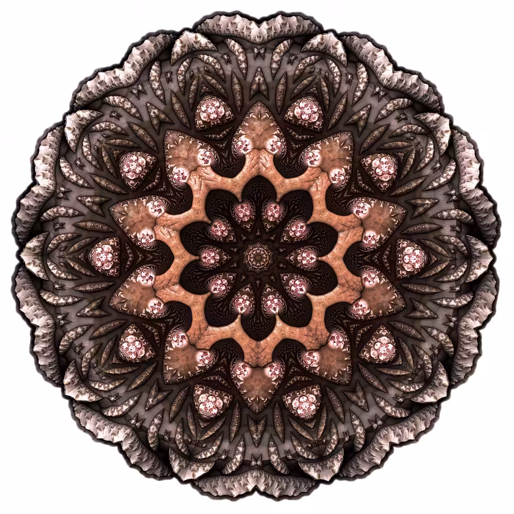 Cocoa