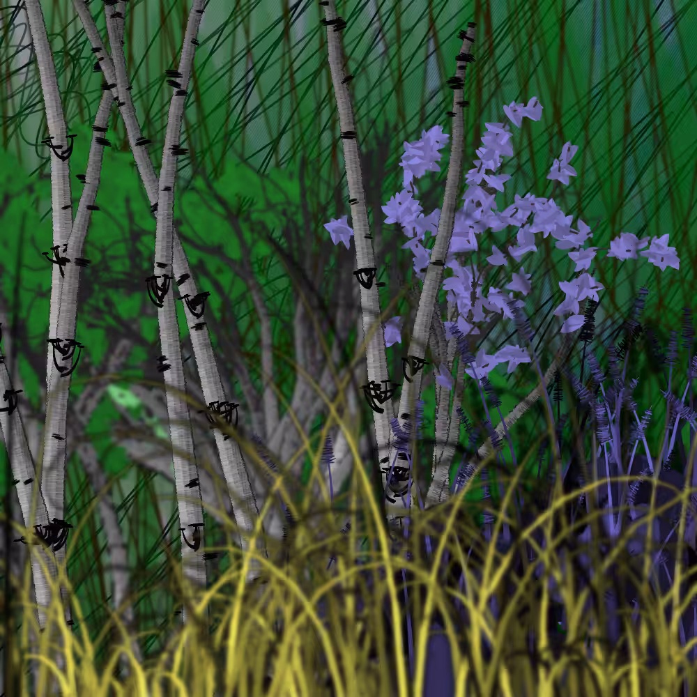 Nature's Vanity: Slideshow #4