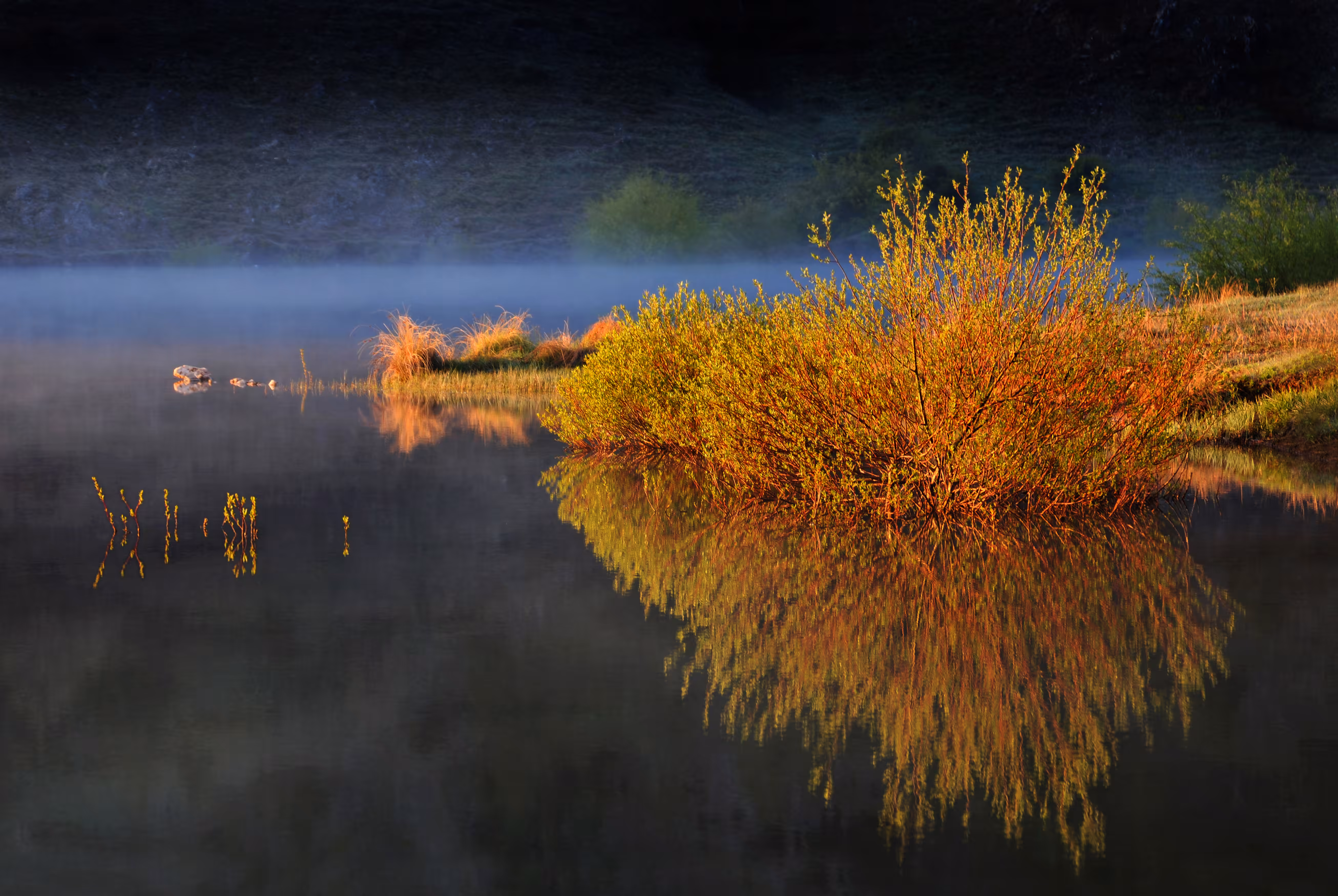 Water reflections in nature