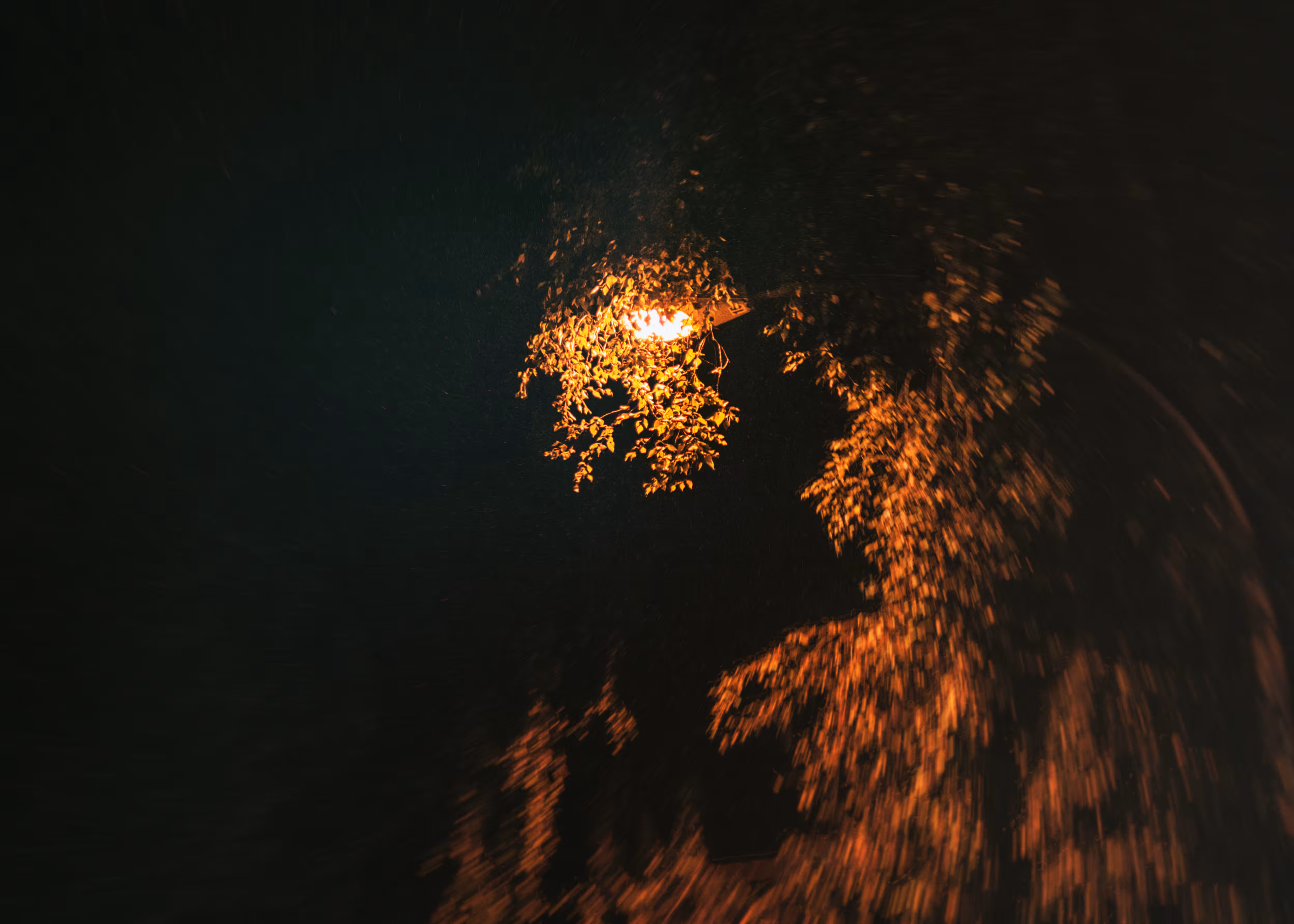 Overgrowth