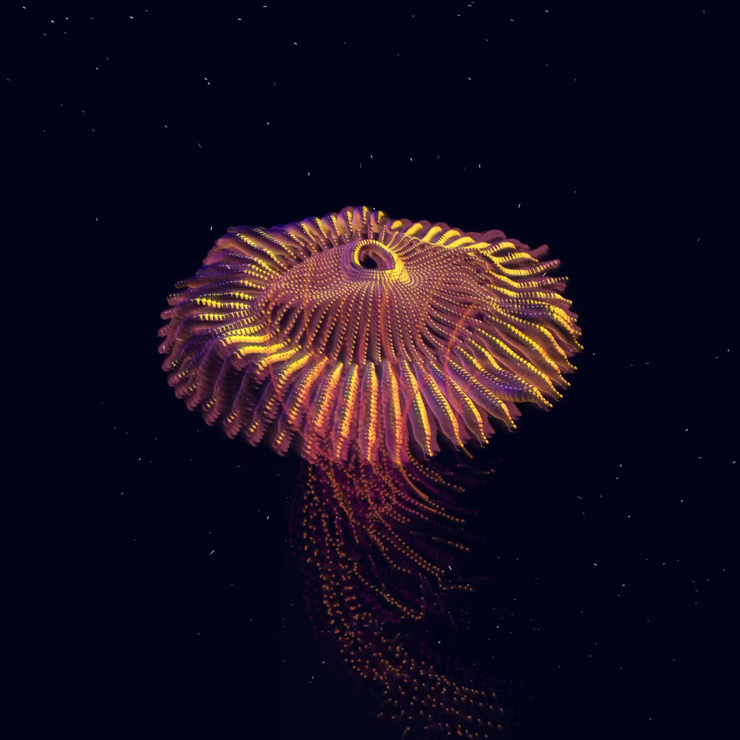 Water Visions Series, Jewel Jellyfish Collection: Sequins Jellyfish (2023)
