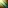 Color Harmony 15