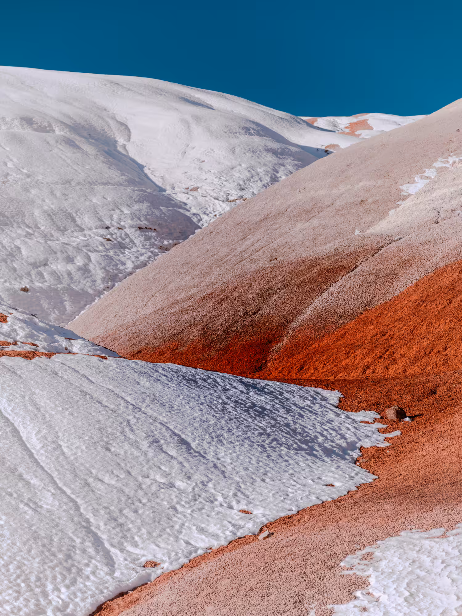 CC24.7041