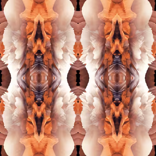 GRAVIZ#59 [[[RARE]]]