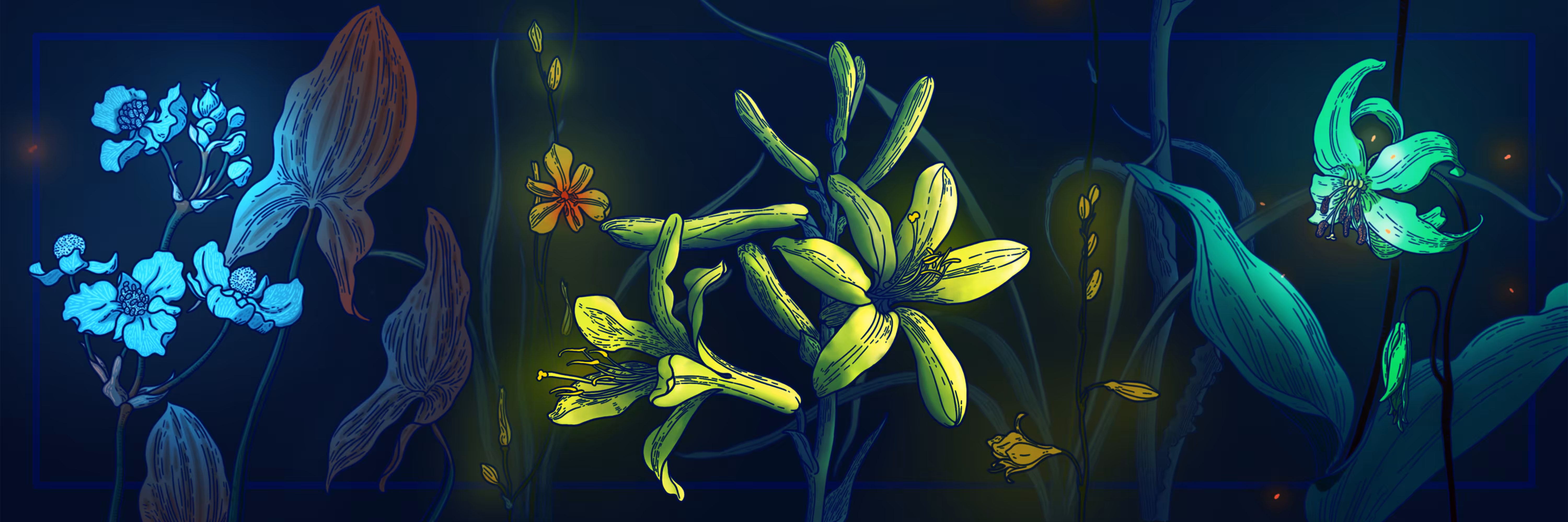 Banner Edition - Short Story of a Violet