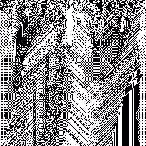 cellular automata 1000