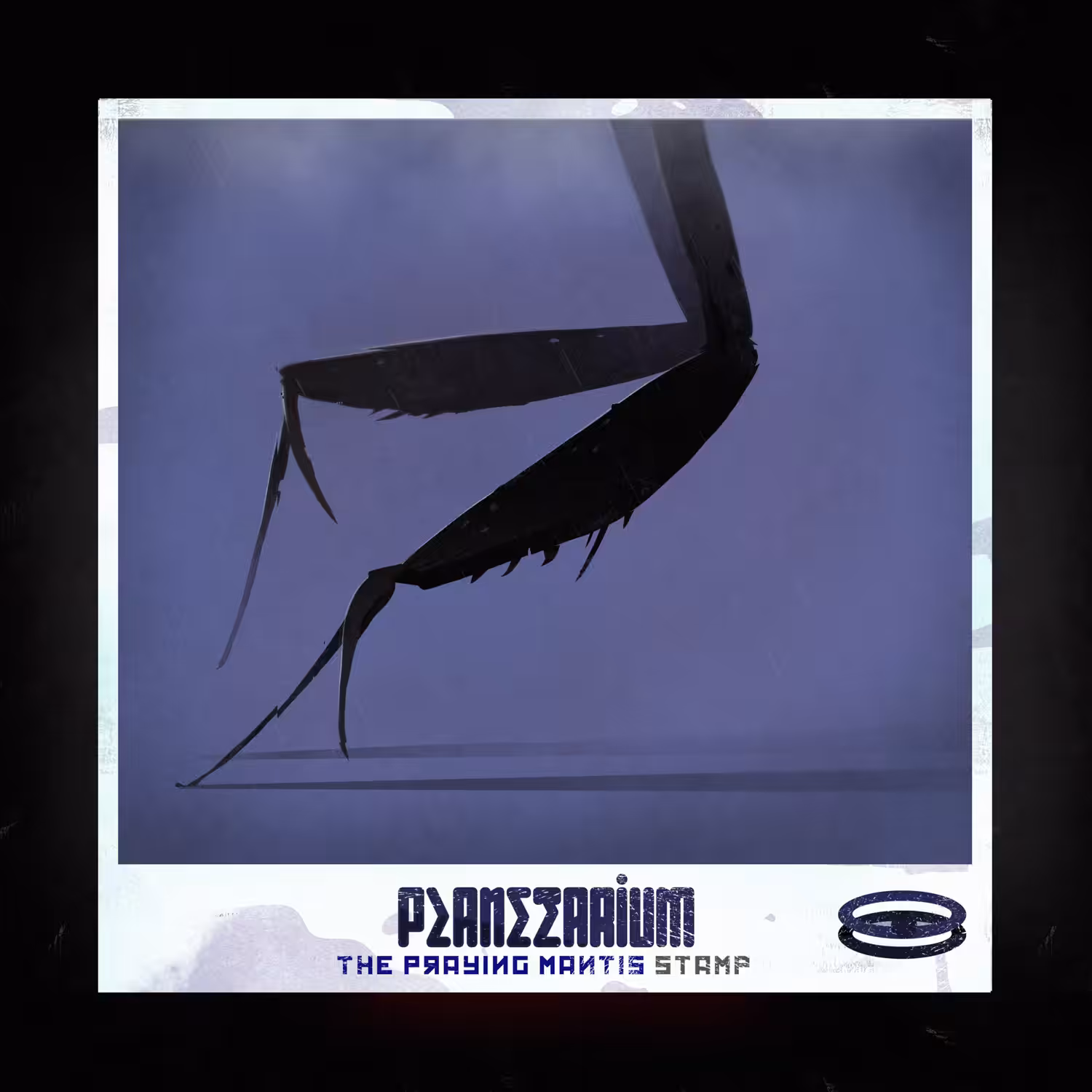 Praying mantis legs