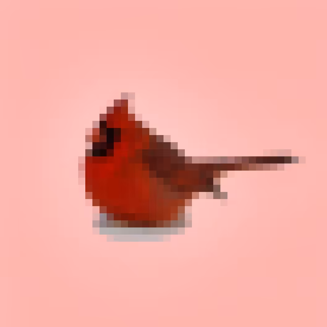 PixlBird #010