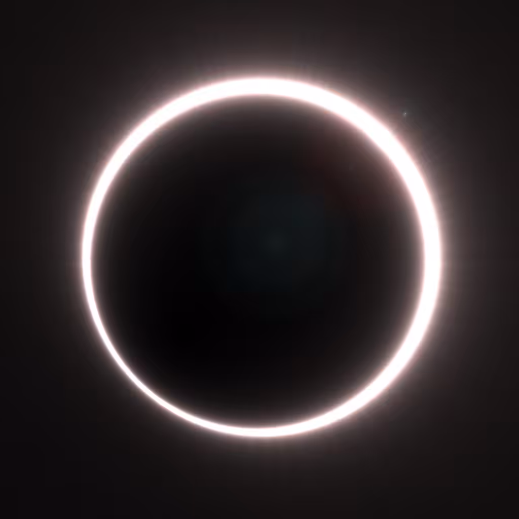 Totality #29
