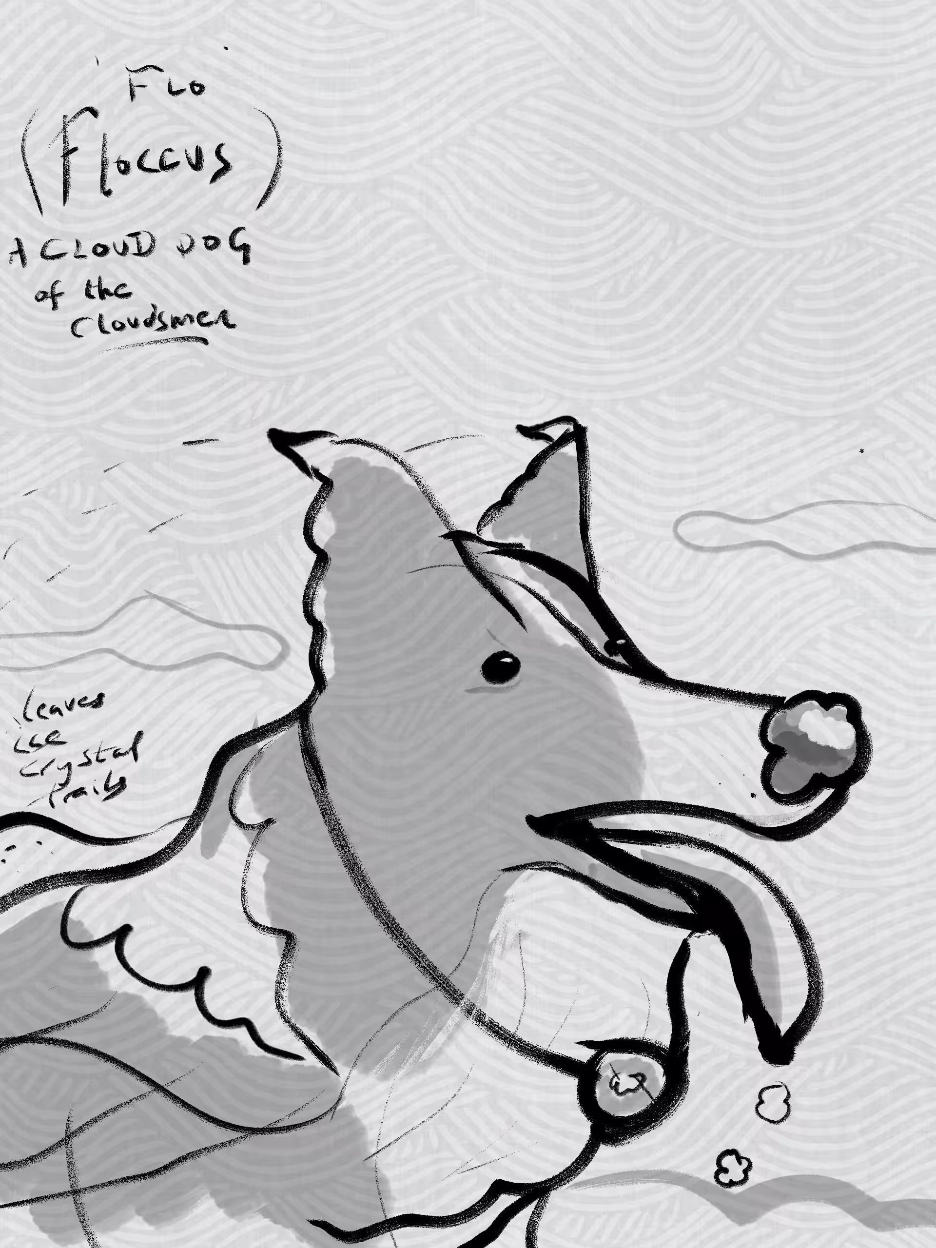 Flo (Floccus) Cloud Dog