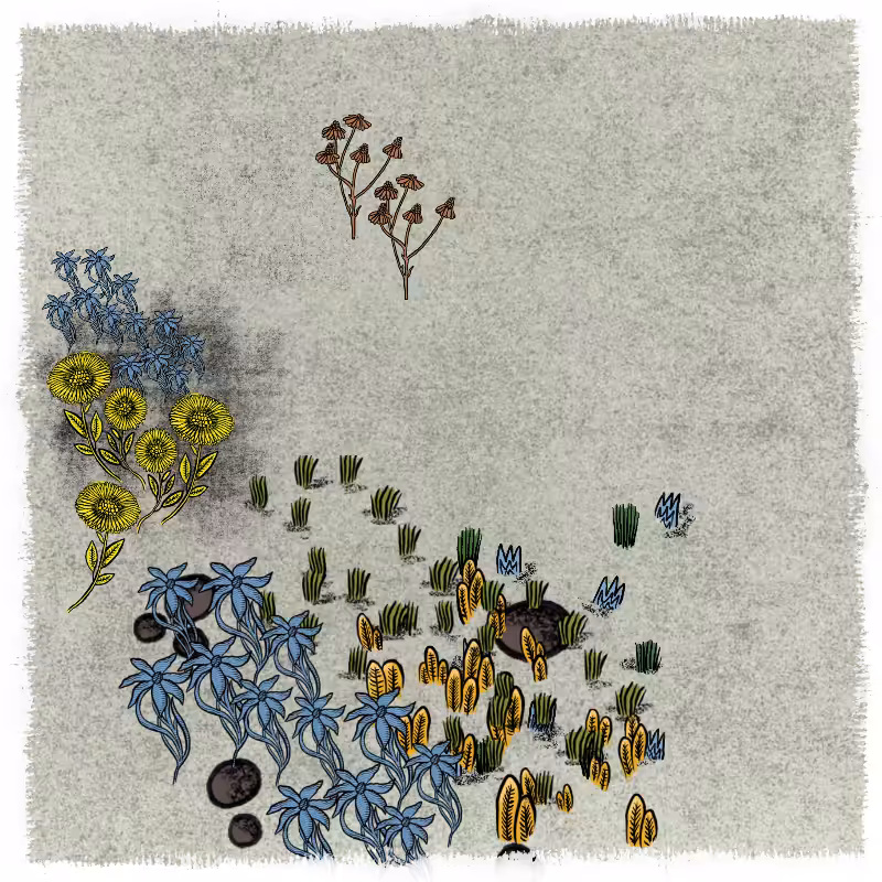 Gardens  #57