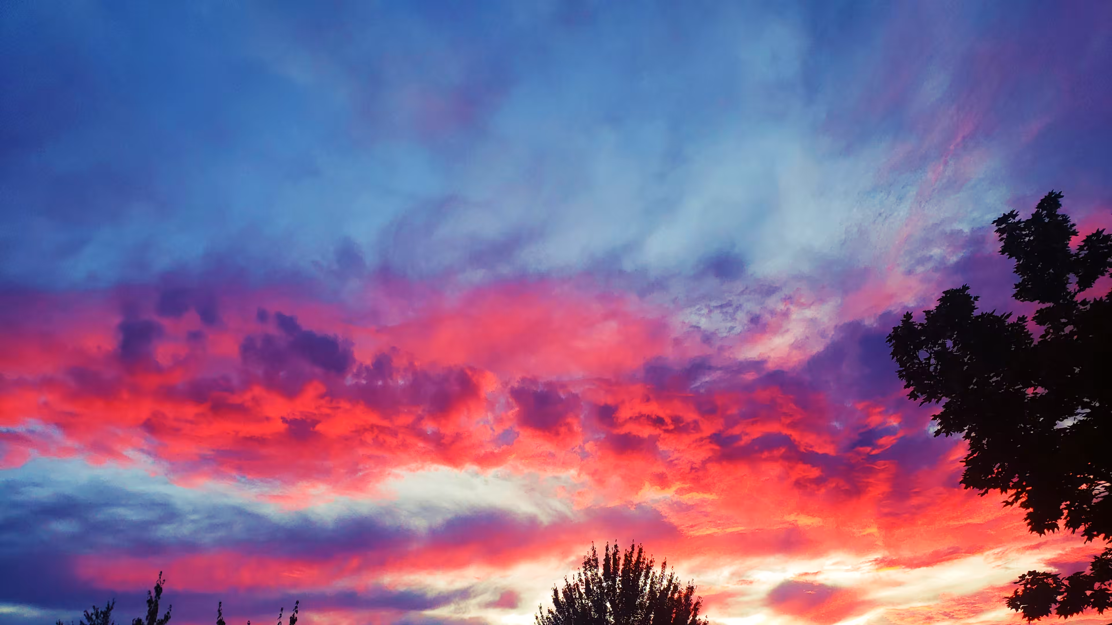 Beautiful Sunset