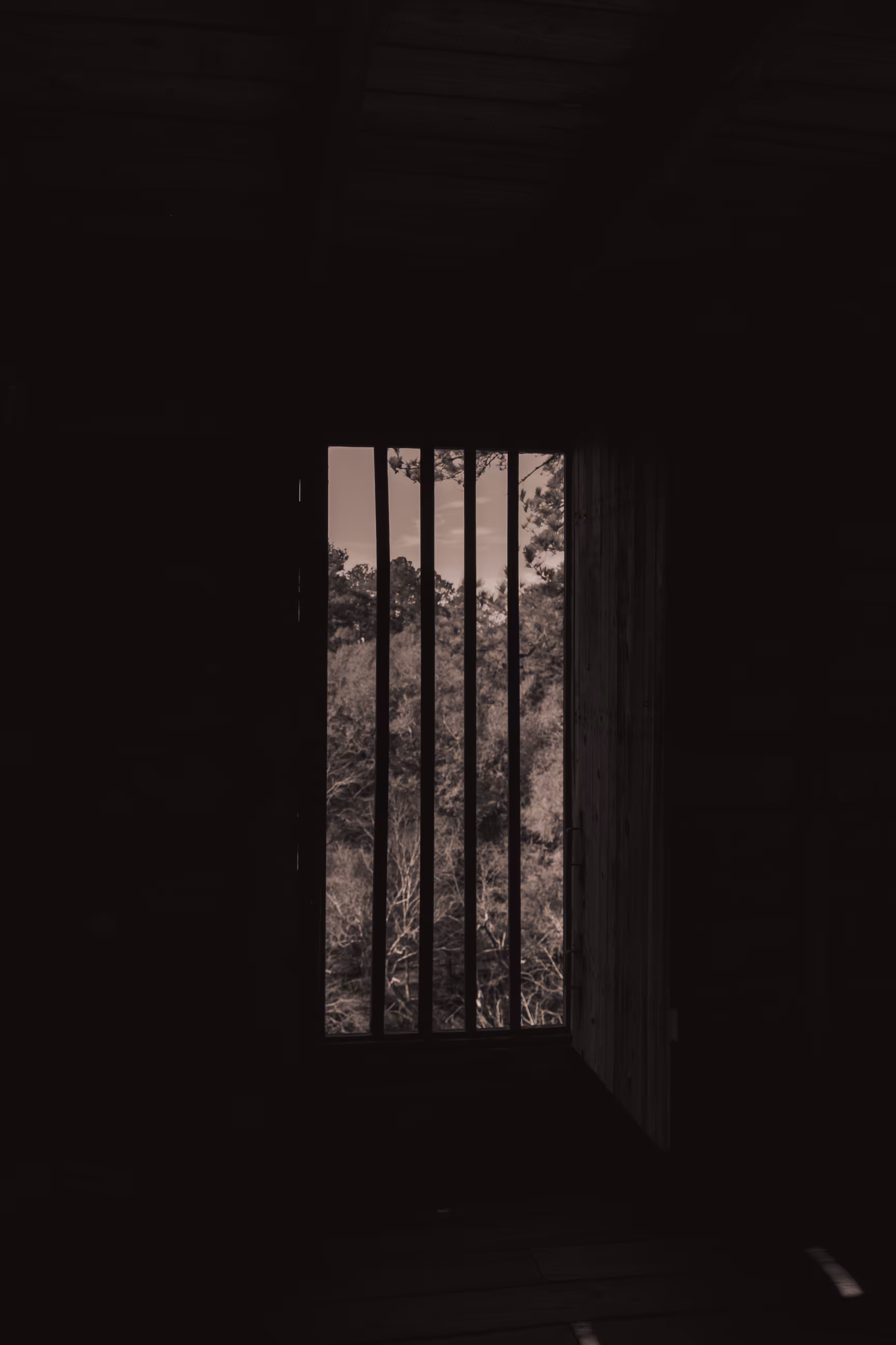 Light has no form #1