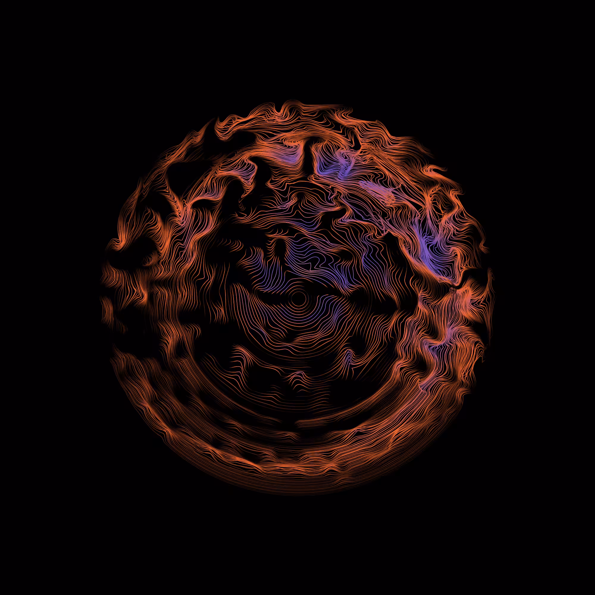 Perception #11