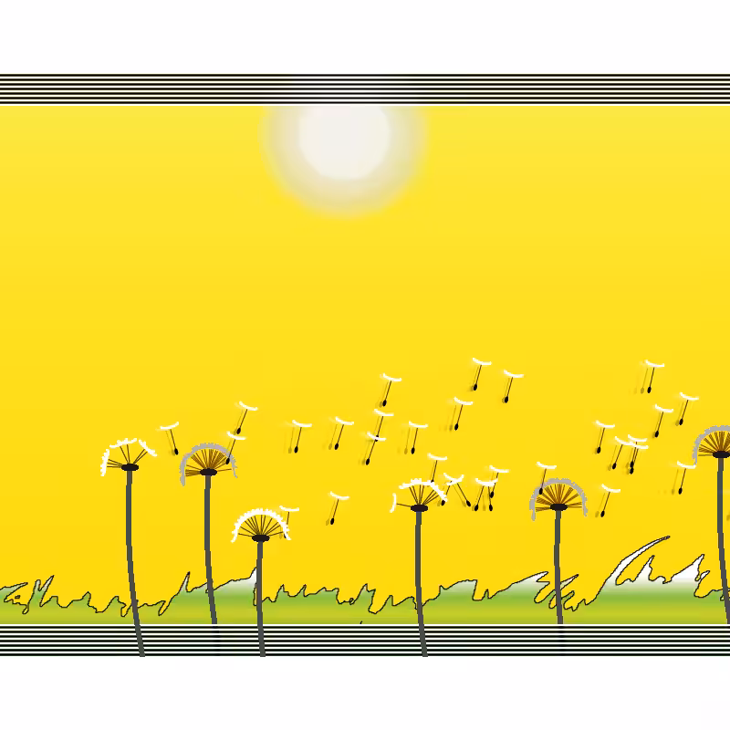 Dandelion Field #11