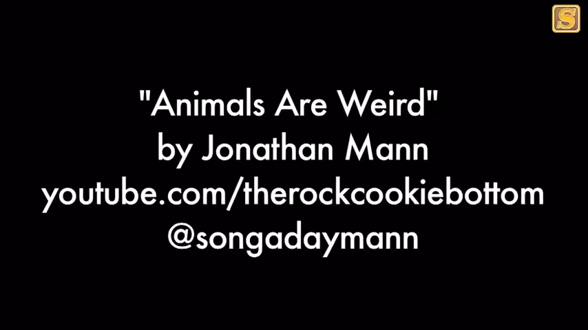 Song A DAO: Animals Are Weird | Song A Day #698