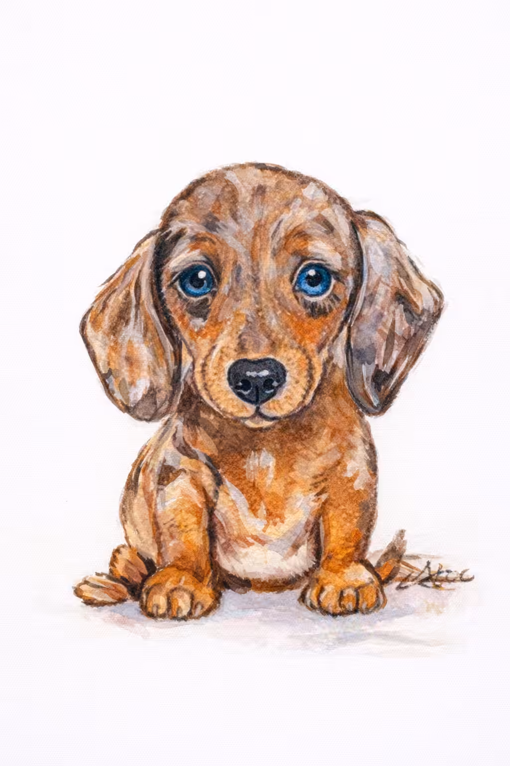 Cute Dachshund