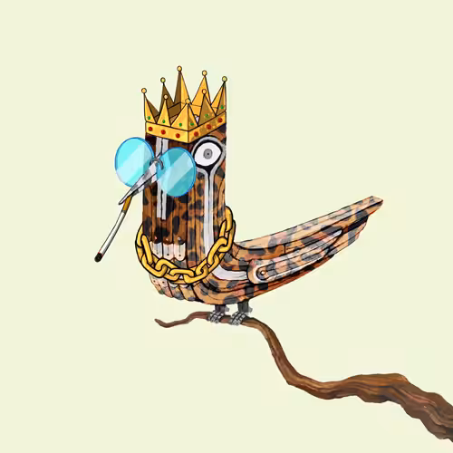 Bolbol, The Bird 070