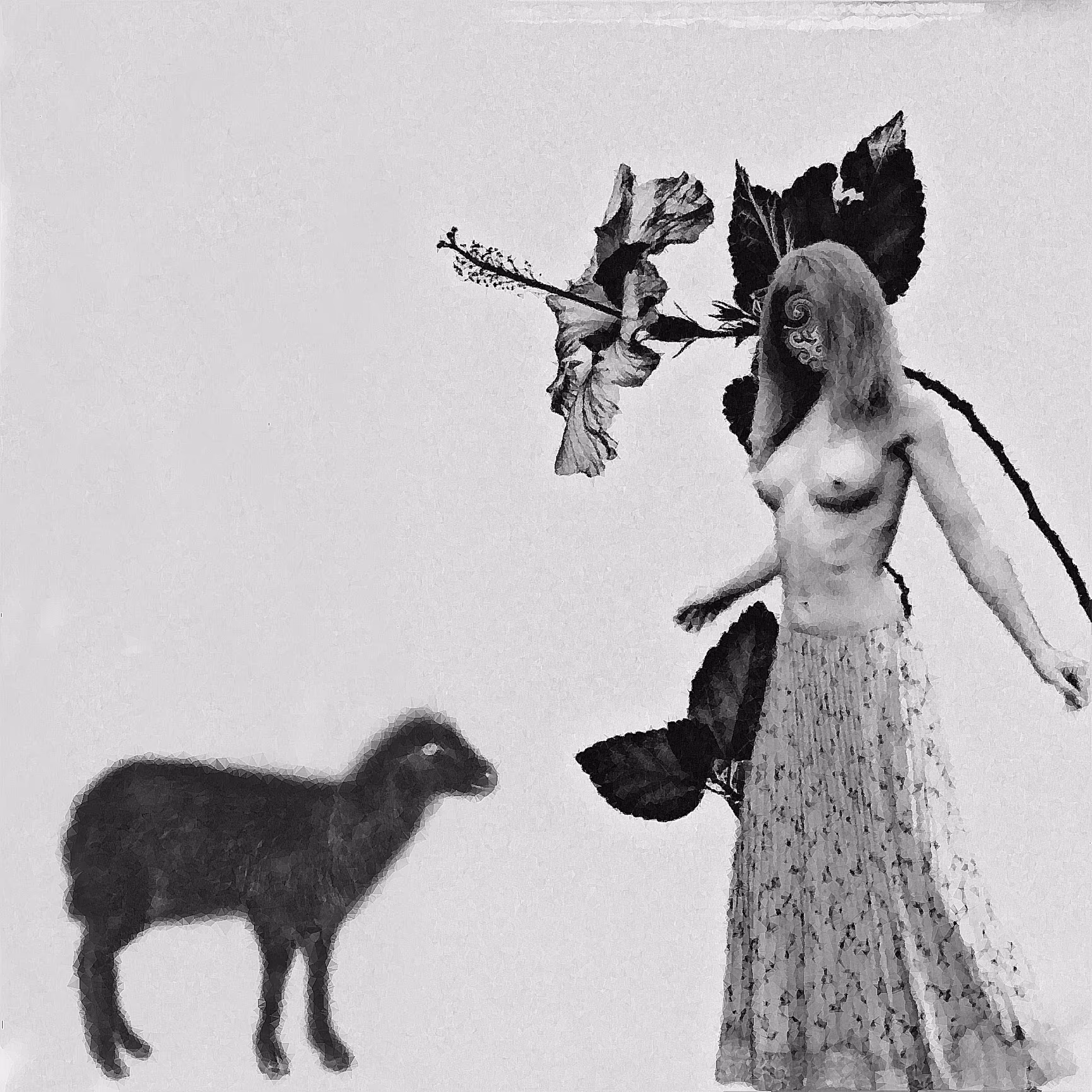 Lamb