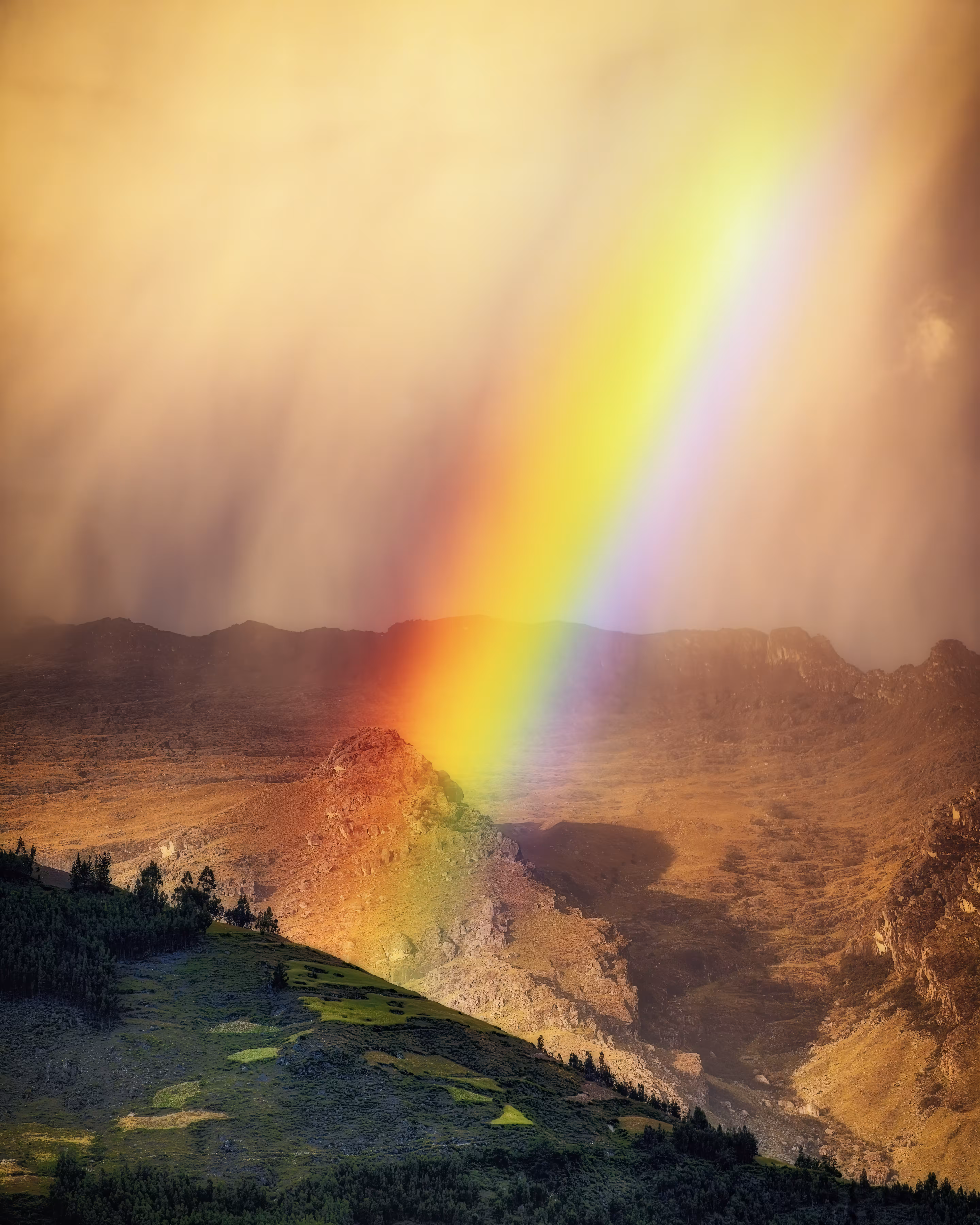 Rainbow Reverie